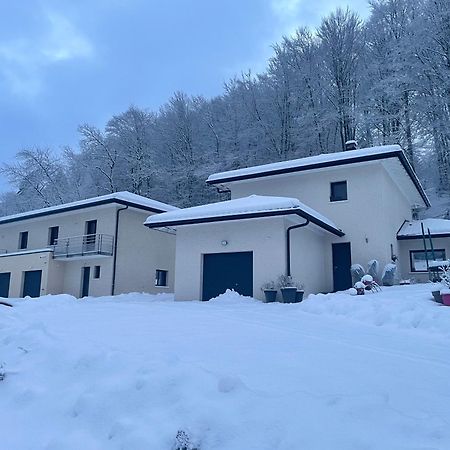 Chic Vanilla Home, Maison Moderne Entre Annecy Et Geneve 克鲁塞勒斯 外观 照片